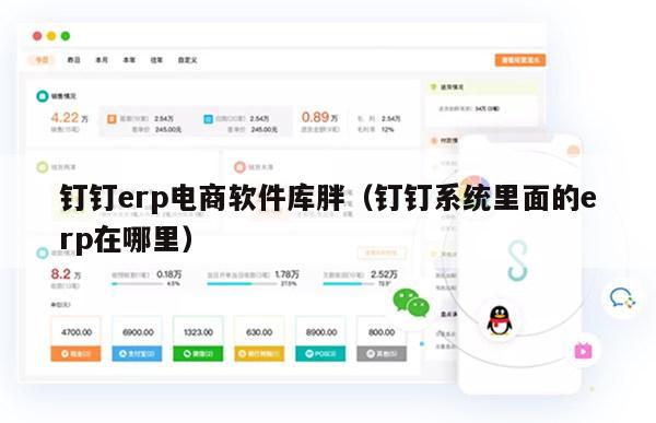 钉钉erp电商软件库胖（钉钉系统里面的erp在哪里）