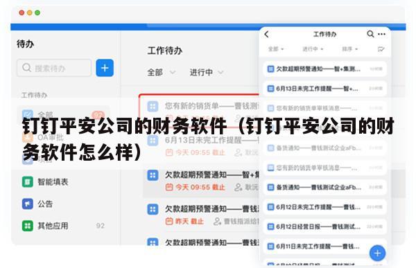 钉钉平安公司的财务软件（钉钉平安公司的财务软件怎么样）
