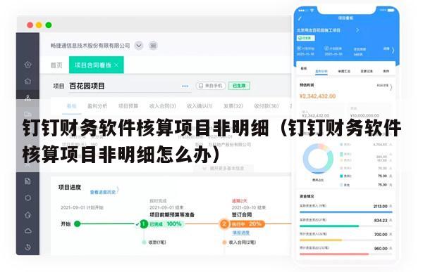 钉钉财务软件核算项目非明细（钉钉财务软件核算项目非明细怎么办）