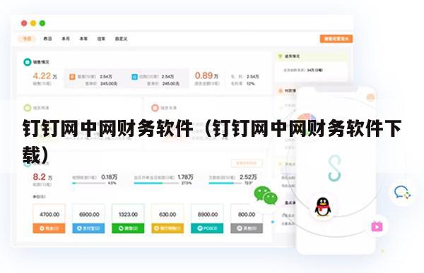 钉钉网中网财务软件（钉钉网中网财务软件下载）