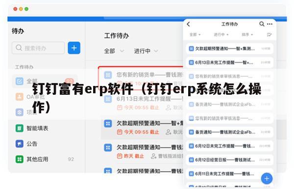 钉钉富有erp软件（钉钉erp系统怎么操作）