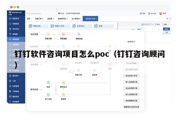 钉钉软件咨询项目怎么poc（钉钉咨询顾问）