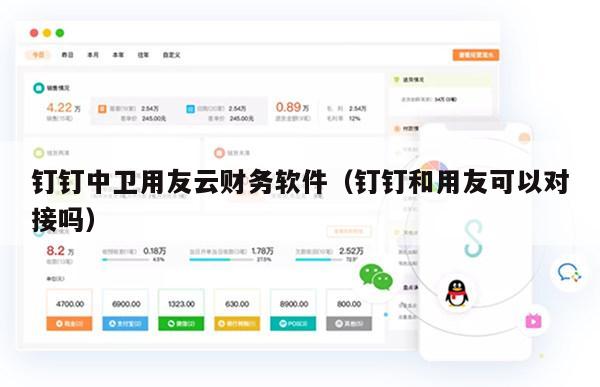 钉钉中卫用友云财务软件（钉钉和用友可以对接吗）