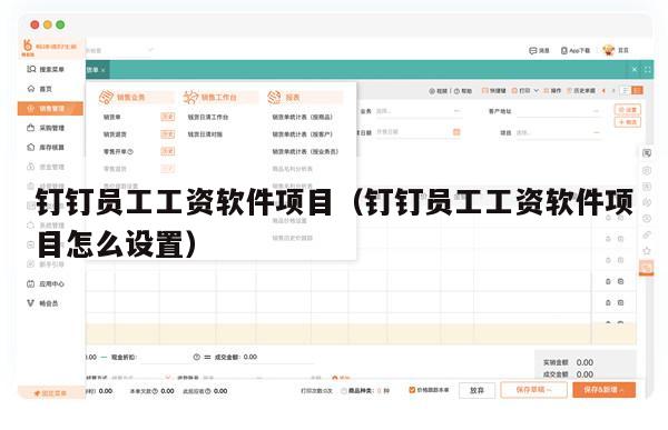 钉钉员工工资软件项目（钉钉员工工资软件项目怎么设置）