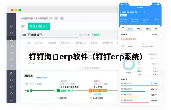 钉钉海口erp软件（钉钉erp系统）