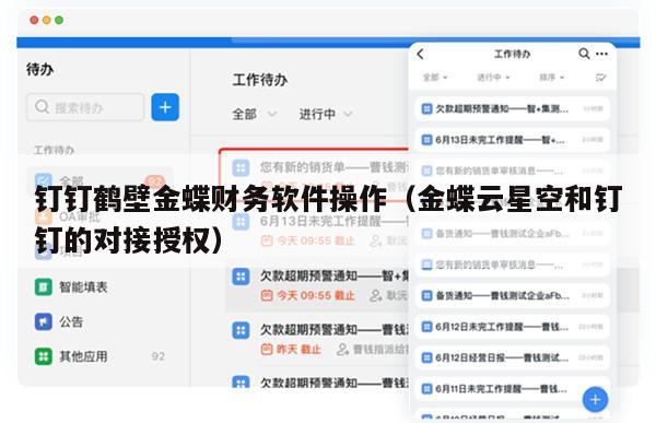 钉钉鹤壁金蝶财务软件操作（金蝶云星空和钉钉的对接授权）
