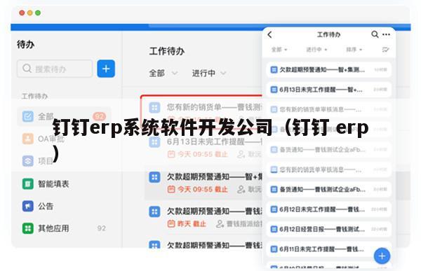 钉钉erp系统软件开发公司（钉钉 erp）