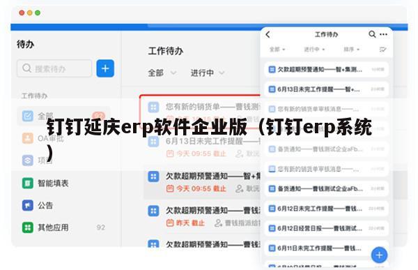 钉钉延庆erp软件企业版（钉钉erp系统）