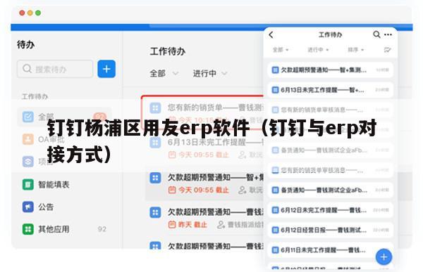 钉钉杨浦区用友erp软件（钉钉与erp对接方式）