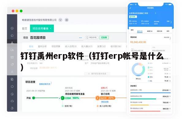 钉钉禹州erp软件（钉钉erp帐号是什么）