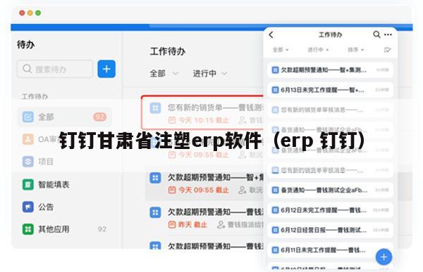 钉钉甘肃省注塑erp软件（erp 钉钉）