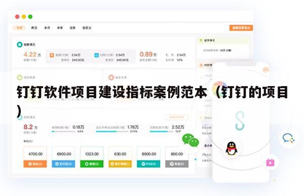钉钉软件项目建设指标案例范本（钉钉的项目）