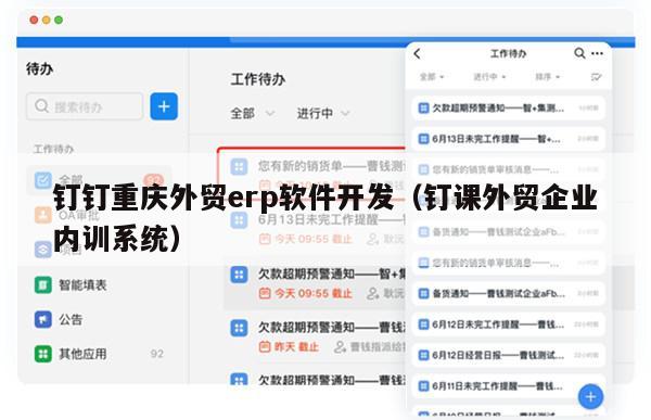 钉钉重庆外贸erp软件开发（钉课外贸企业内训系统）