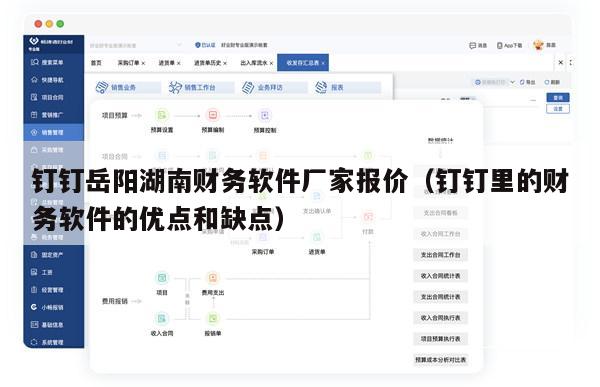 钉钉岳阳湖南财务软件厂家报价（钉钉里的财务软件的优点和缺点）