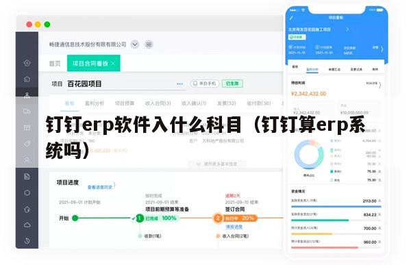 钉钉erp软件入什么科目（钉钉算erp系统吗）