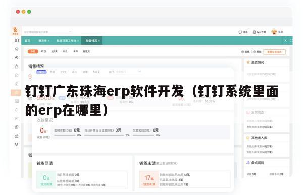 钉钉广东珠海erp软件开发（钉钉系统里面的erp在哪里）