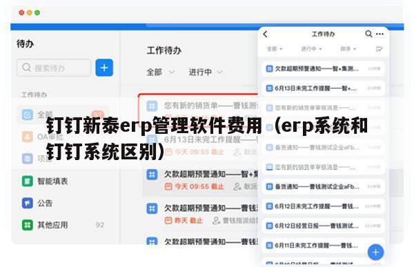 钉钉新泰erp管理软件费用（erp系统和钉钉系统区别）