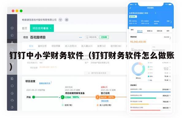 钉钉中小学财务软件（钉钉财务软件怎么做账）