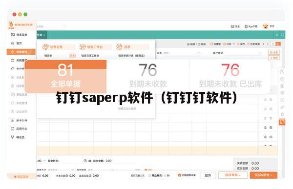 钉钉saperp软件（钉钉钉软件）