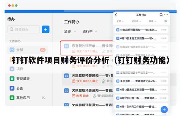 钉钉软件项目财务评价分析（钉钉财务功能）