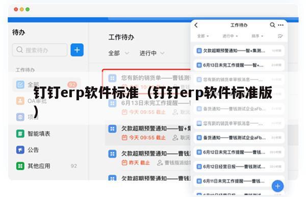 钉钉erp软件标准（钉钉erp软件标准版）