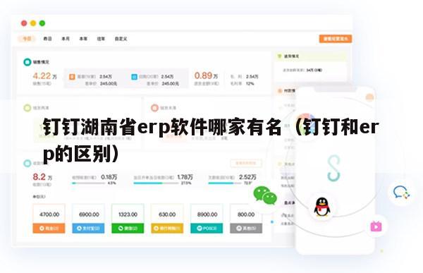 钉钉湖南省erp软件哪家有名（钉钉和erp的区别）