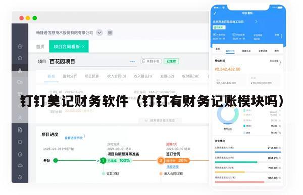 钉钉美记财务软件（钉钉有财务记账模块吗）